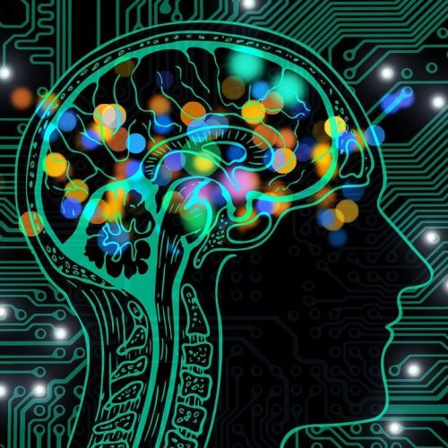 artificial-intelligence-4736369_1280